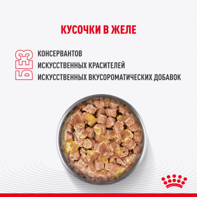 Royal Canin Kitten Sterilised Влажный корм сбалансированный для стерилизованных котят в возрасте от 6 до 12 мес. мелкие кусочки в желе, пауч 85 гр.