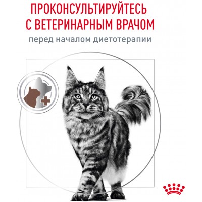 Royal Canin Gastrointestinal Hairball Сухой корм для взрослых кошек для профилактики образования волосяных комочков 400 гр.