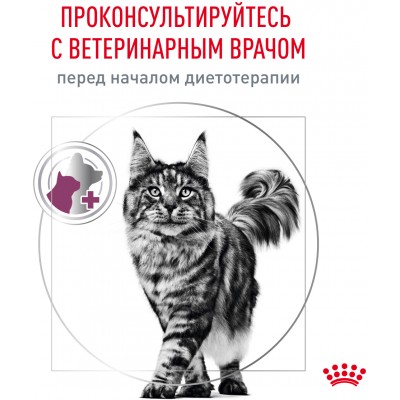 Royal Canin Renal Сухой корм для взрослых кошек для поддержания функции почек 4 кг.