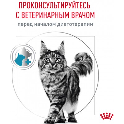 Royal Canin Hyppoallergenic Сухой корм для взрослых кошек при пищевой аллергии 500 гр.