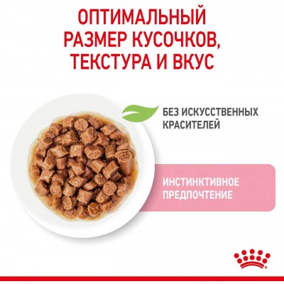 "Для Мокко" Royal Canin Kitten Влажный корм для котят в период второй фазы роста в возрасте до 12 месяцев кусочки в соусе, пауч 85 гр.