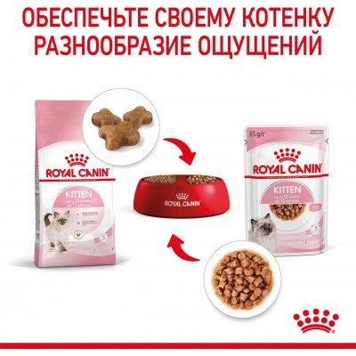 Royal Canin Kitten Влажный корм для котят в период второй фазы роста в возрасте до 12 месяцев кусочки в соусе, пауч 85 гр.