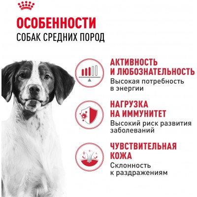 Royal Canin Medium Adult Корм сухой для взрослых собак средних размеров (весом от 11 до 25 кг) в возрасте от 12 месяцев до 7 лет 3 кг.