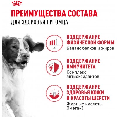 Royal Canin Medium Adult Корм сухой для взрослых собак средних размеров (весом от 11 до 25 кг) в возрасте от 12 месяцев до 7 лет 3 кг.