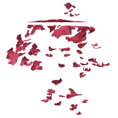 Tetra Betta корм для рыб в хлопьях 100 мл