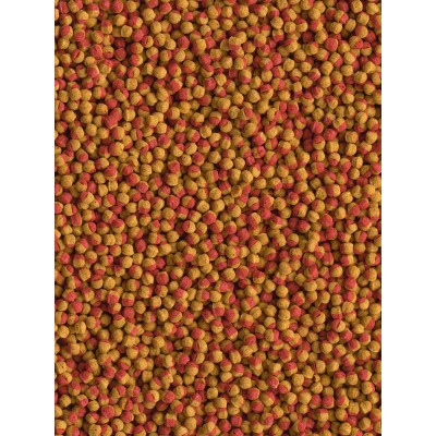 Tetra Cichlid Colour корм для всех видов цихлид для улучшения окраса 10 л (ведро)