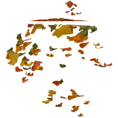 Tetra Rubin корм в хлопьях для улучшения окраса всех видов рыб 10 л (ведро)