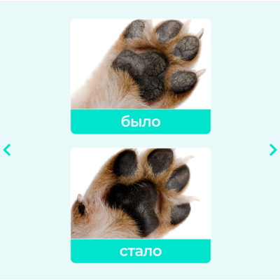 Veda Вединол для лап зоогигиеническое защитное средство с маслом сосны 30 мл