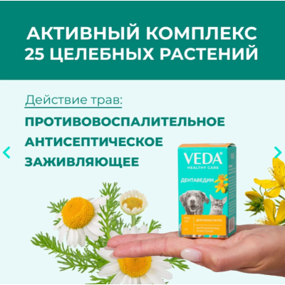 Veda Дентаведин для ухода за ротовой полостью с фитокомплексом 25 целебных растений фл 15 гр