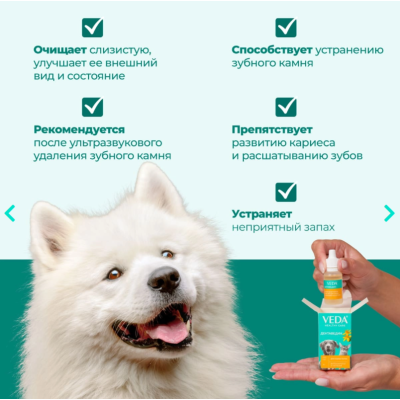 Veda Дентаведин для ухода за ротовой полостью с фитокомплексом 25 целебных растений фл 15 гр