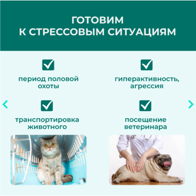 Veda Фитодиета Кот Баюн настой для коррекции нарушений поведения кошек и собак 3 фл 10 мл