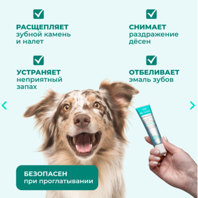 Veda My Totem Oralvet Гель для зубов и полости рта собак и кошек 40  мл