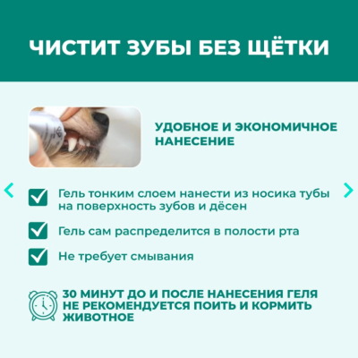 Veda My Totem Oralvet Гель для зубов и полости рта собак и кошек 40  мл