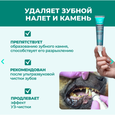 Veda My Totem Oralvet Гель для зубов и полости рта собак и кошек 40  мл