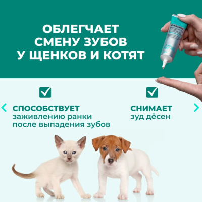 Veda My Totem Oralvet Гель для зубов и полости рта собак и кошек 40  мл