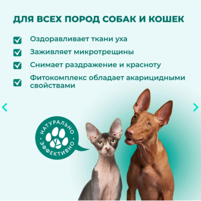 Veda Отоведин капли в уши с биологически активным фитокомплексом 15 мл