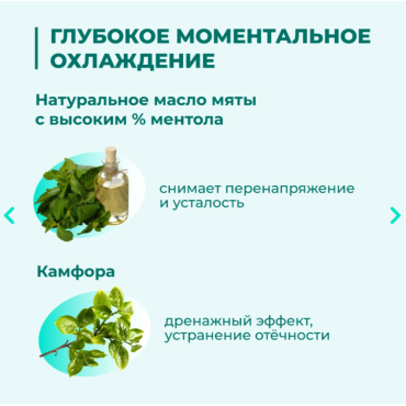 Veda Зоо Vip Гель охлаждающий с антитравматическим действием с экстрактами трав и ментолом 500 мл