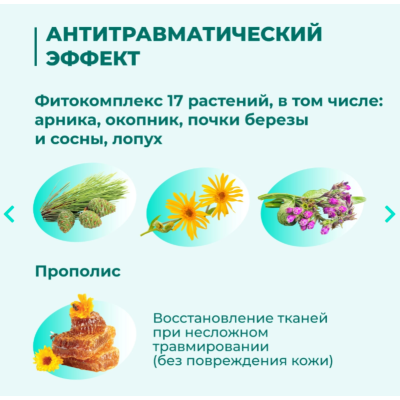 Veda Зоо Vip Гель охлаждающий с антитравматическим действием с экстрактами трав и ментолом 500 мл