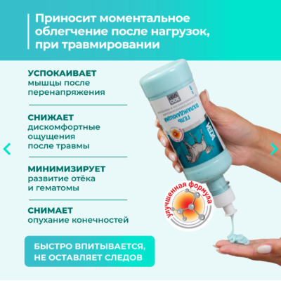 Veda Зоо Vip Гель охлаждающий с антитравматическим действием с экстрактами трав и ментолом 500 мл