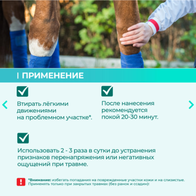 Veda Зоо Vip Гель охлаждающий с антитравматическим действием с экстрактами трав и ментолом 500 мл