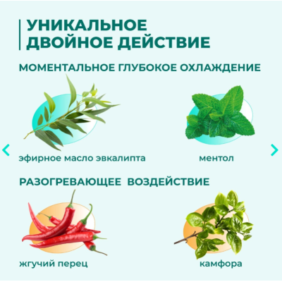 Veda Зоо Vip Гель двойного действия охлаждающий и разогревающий с камфорой и ментолом 250 мл