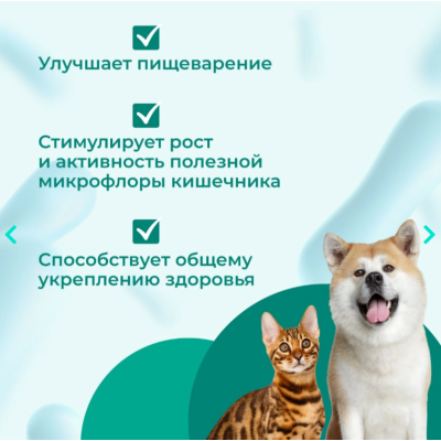 Veda Неоферон функциональный корм с пребиотиком и фитокомплексом для иммунитета и нормализации микрофлоры кишечника 20 таб