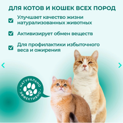 Veda Фитомины Форте для кастрированных котов и стерилизованных кошек 200 таб.