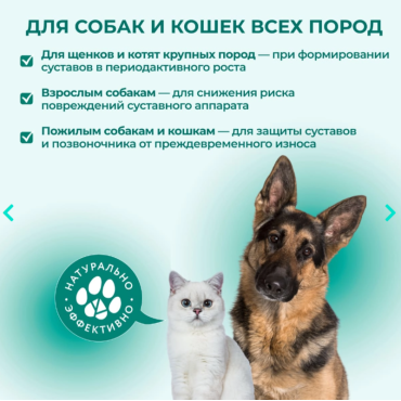 Veda Фитомины Форте для суставов собакам и кошкам 200 таб.