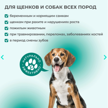 Veda Фитомины Форте для зубов и костей собакам 200 таб.