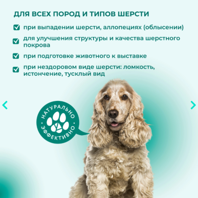 Veda Фитомины Форте для шерсти собакам 200 таб.