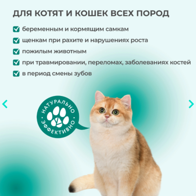 Veda Фитомины Форте для зубов и костей кошкам 200 таб.