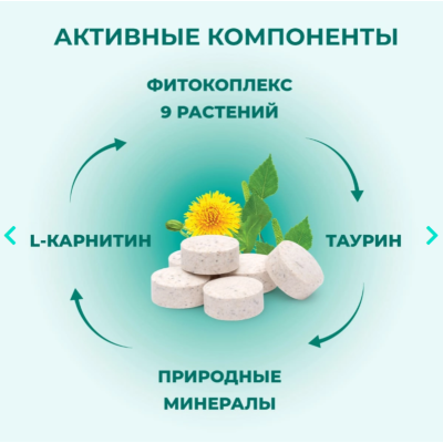 Veda Фитомины Форте противоаллергические кошкам и собакам 200 таб.