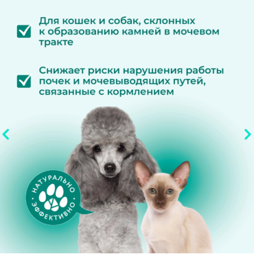 Veda Фитомины Форте урологические кошкам и собакам 200 таб.