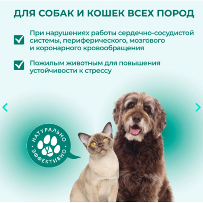 Veda Фитомины Форте пожилым собакам и кошкам 200 таб.