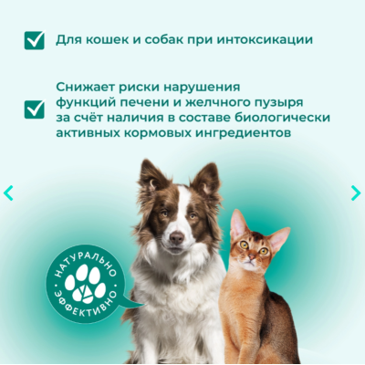 Veda Фитомины Форте для защиты печени собакам и кошкам 200 таб.