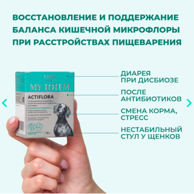Veda My Totem Actiflora синбиотический комплекс для собак 10 саше по 1 гр.