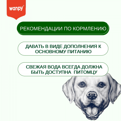 Wanpy Dog Лакомство для собак Зубные щетки со вкусом курицы 100 гр.