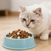 Сухой корм для кошек