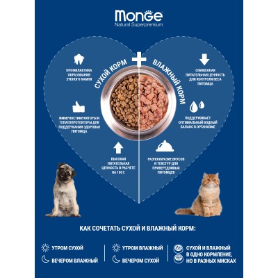Monge Cat Monoprotein Sterilised корм для стерилизованных кошек с форелью 10 кг.