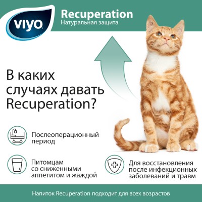 Viyo Vet пребиотический напиток для кошек 1 х150 мл