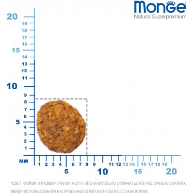 Monge Cat Сухой корм для котят 10 кг.