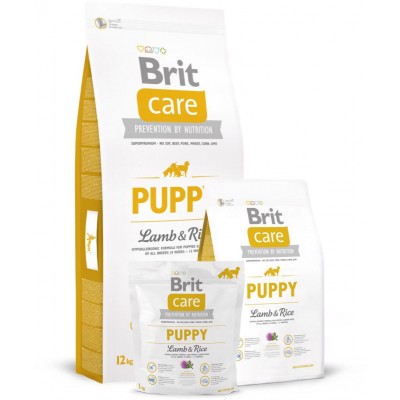 Сухой корм Brit Care Puppy All Breed для щенков всех пород, ягненок с рисом, 1 кг