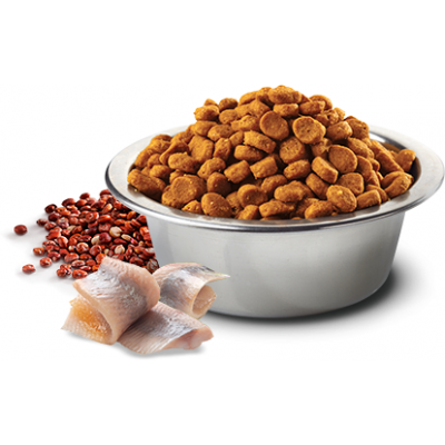 Farmina N&D Quinoa Skin&Coat  Сухой корм для кошек для здоровья кожи и шерсти беззерновой сельдь, киноа, кокос и куркума 300 гр. 